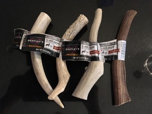 dentley's antlers
