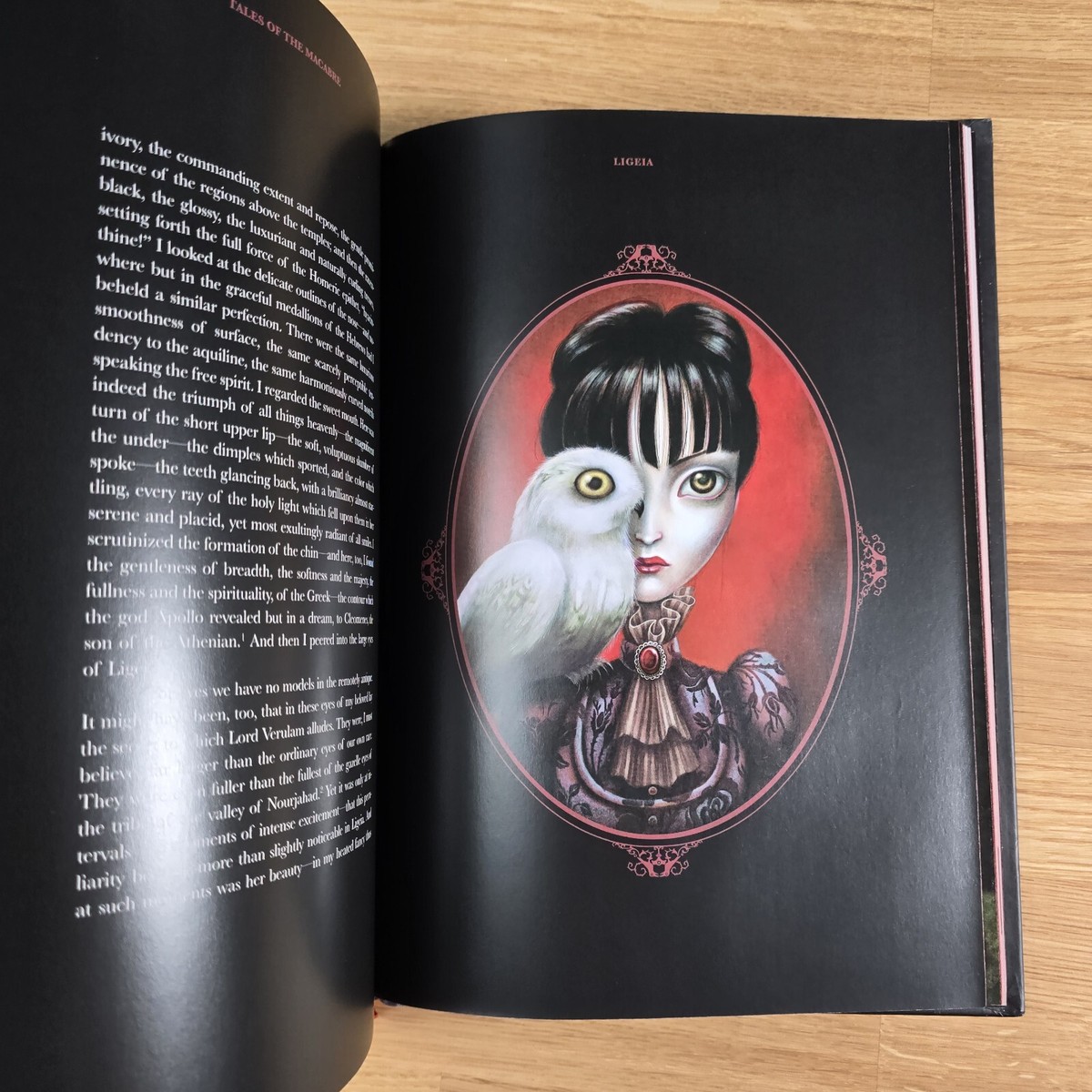 TALES OF THE MACABRE　Benjamin Lacombe TALES OF THE MACABRE By Edgar Allan Poe - Hardcover Benjamin