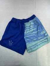 Nike Swim Trunks Men s Large 6 Inseam Blue