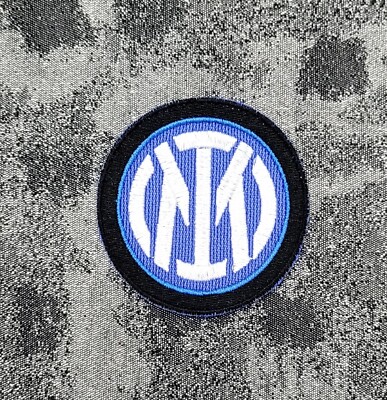 La Proposta Di Fratelli D'Italia: "Esporre La Bandiera Dell'Ue Non Sia - Foto 4