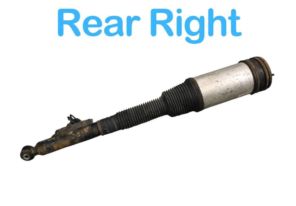 Amortecedor traseiro direito 00-06 Mercedes S500 CL55 AMG C086054O5 FABRICANTE DE EQUIPAMENTO ORIGINAL - Imagem 3 de 4