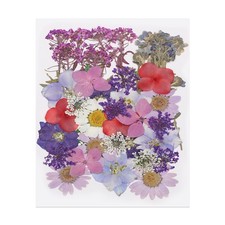 40 Pcs Dried Pressed Flower Leaves Bulk for Resin, Purple