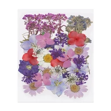 40 Pcs Dried Pressed Flower Leaves Bulk for Resin, Purple