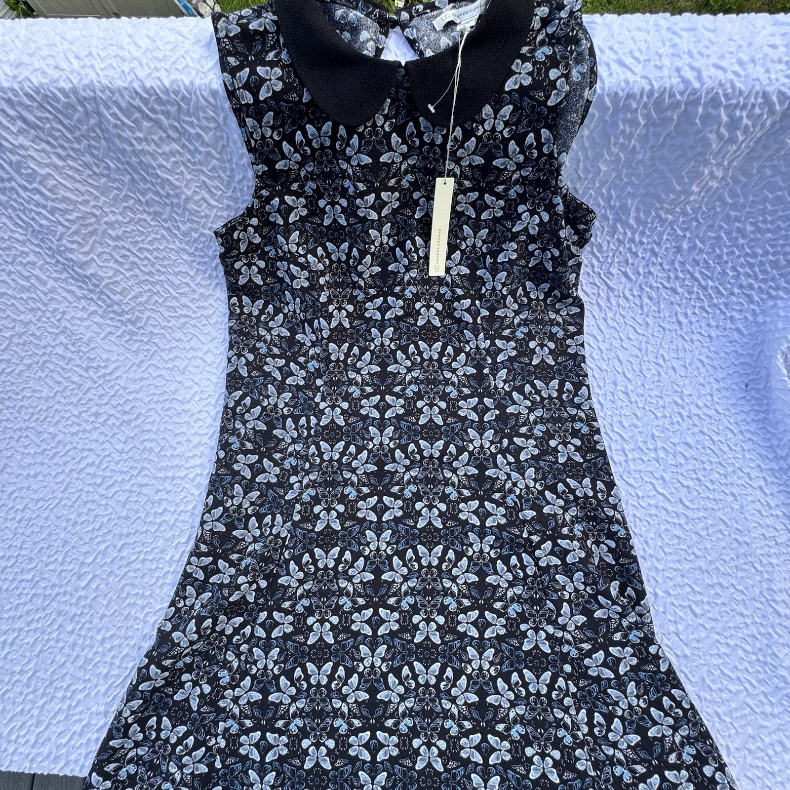 LC Lauren Conrad Black & White Butterfly Fit & Flare Peter Pan Collar 4