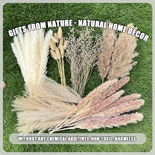 Pcs Pampas Grass Boho Home Decor 17 inch Natural Dried Flowers-Pampas Grass 100 - Picture 6 of 7