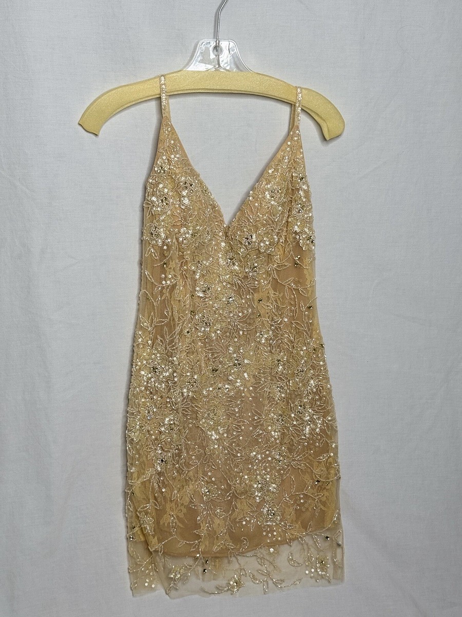 Tony Bowls Formal Dress Size 2 With Alterations