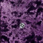 Bild 151 von 192