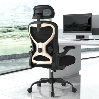 Ergonomic Office Chair, Mesh Desk Chair with Headrest, Lumbar Support, Thick ...