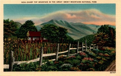 Sharp Top Mountain, Great Smoky Mountains National Park, Asheville, N. Postcard