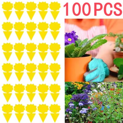 100pcs Sticky Traps Multiple Pot Pest Sticker Home Greenhouse Sticky Board USA