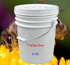 5 Gallons Pure Raw Local Honey from Alberta - 60 LBS - Bulk Raw Honey