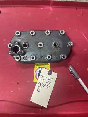 96 Arctic Cat Montego Tigershark Jet Ski Head. Nice! 3008-194