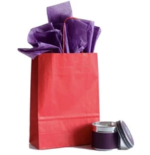 10 Luxury Red Paper Party Bags - Gift Bag With Handles -Birthday/Wedding