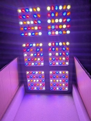 ViparSpectra R900 LED Grow Light 900W Full Spectrum 1 Mal Benutzt Gebraucht Top