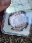 1881-S Morgan Silver Dollar NGC MS62 Purple Toned Both Sides!