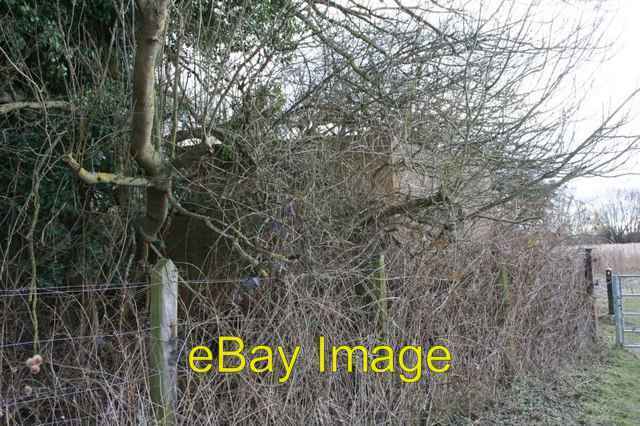 Photo 6x4 Almost hidden South Stoke This is what I came along to see thou c2009