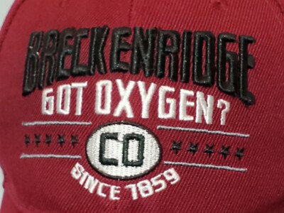 Big BEAR Breckenridge CO Ball Cap Hat Embroider Got Oxygen? Ski SNOW BOARD Hike