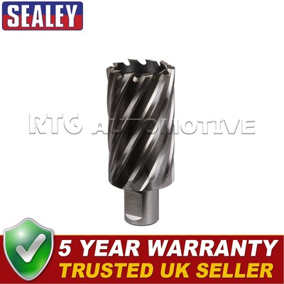 Sealey Worksafe �� 36 mm HSS Mag Bohrer Schnitttiefe 50 mm RBHSS36L