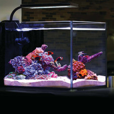 Orbit Marine NANO LED 16 Watt Reef LED Saltwater Marine Aquarium Coral Light wit