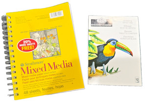 Strathmore Mixed Media 48 sheet sketchbook/1 Essentials Toucan 12 pg sketchbook