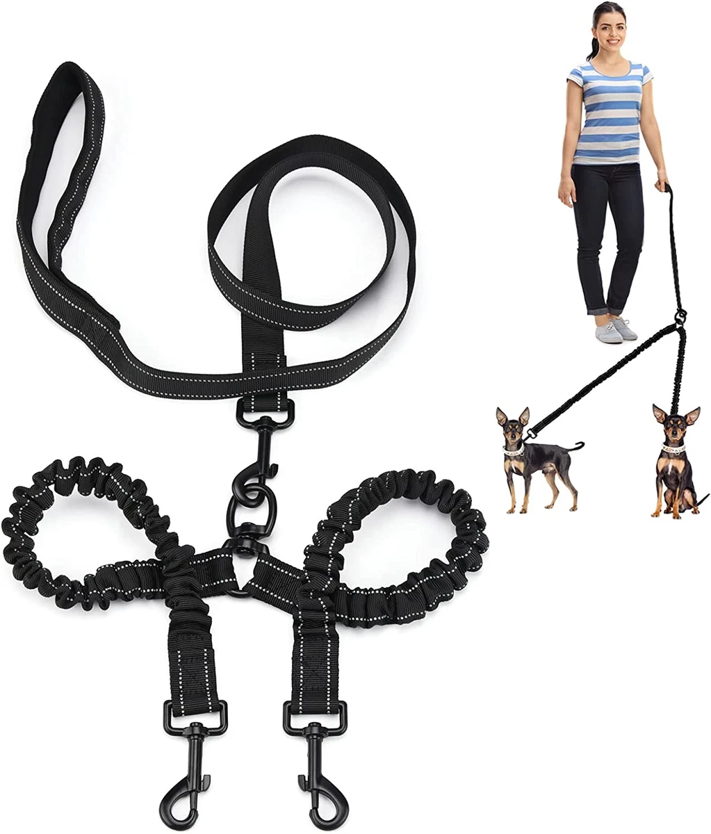Double dog cheap leash