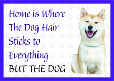Home is Where The Dog Hair- Funny Akita Vinyl Car Van Decal Sticker Pets