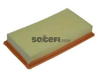 Purflux A1230 Luftfilter FüR Pick UP Solenza KA Maxima Sentra Clio Kangoo