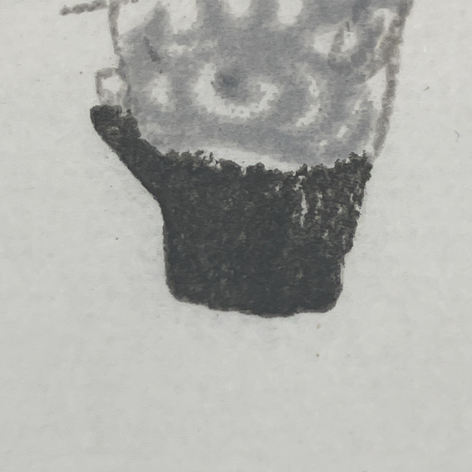 Picture 9 of 9