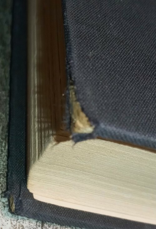Picture 7 of 7