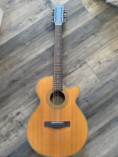Acoustic Electric 12 string Fender Guitar JG12CE/12 NS S/N