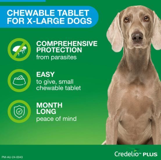 Credelio Plus Ticks & Fleas Treatment Chewable Tablets for XL Dogs Blue