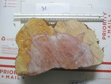 Live Edge Round Eastern Red Cedar Slab Slice 11" x 2" approx. 31