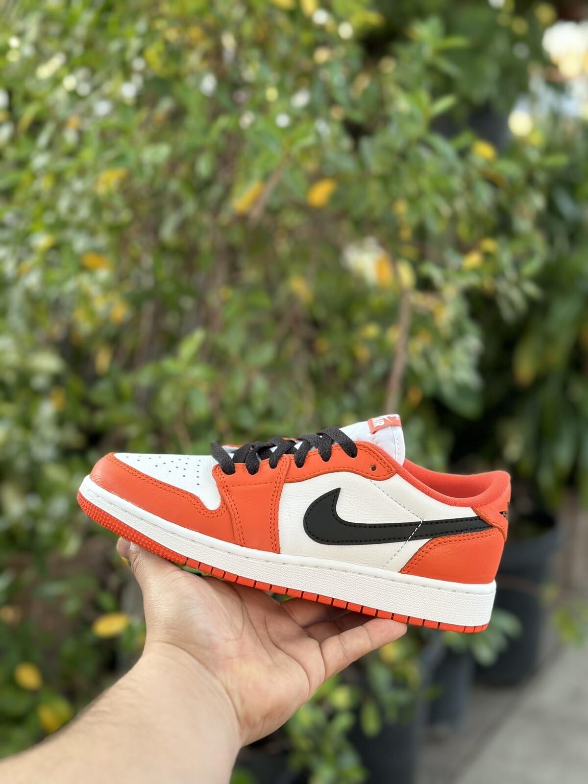 Nike Air Jordan 1 Low OG Starfish CZ0775-801 Womens Size 8W | 6.5M BRAND  NEW | eBay