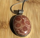 Polished Fossilized Coral Pendant Necklace Framed in Sterling Silver with Chain