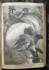 Picture 10 of 24