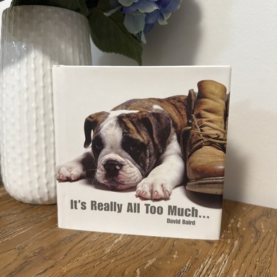 It s Really All Too Much  David Baird Book