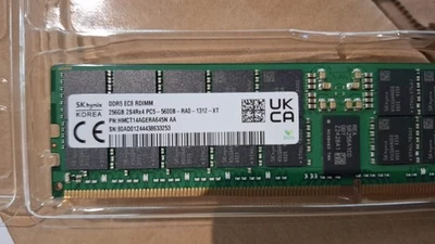 Hynix Memory RAM DDR5 256GB ECC REG 5600Mhz DIMM HMCT14AGERA645N