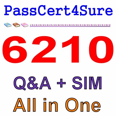 Avaya Aura ContactCenter Implementierung 6210 Prüfung Q&A+SIM