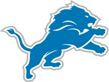 (NOT A PATCH) Detroit Lions Football HTV Heat Transfer Vinyl Iron On