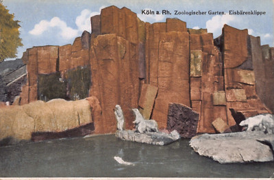 AK - KÖLN - DEUTSCHLAND - ZOOLOGISCHER GARTEN - EISBÄREN