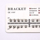 Afbeelding 142 van 245