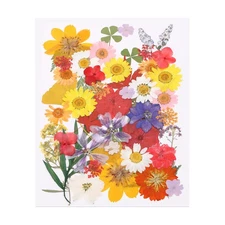 50 Pcs Dried Pressed Flower Leaves Bulk for Resin, Colorful