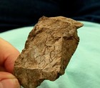 This Rock Looks Like President Donald Trump! Happy Fourth Of July!  Artifact — photo 7