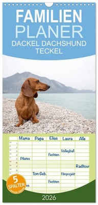 Annett Mirsberger Tierpfoto | Familienplaner 2026 - DACKEL DACHSHUND TECKEL...