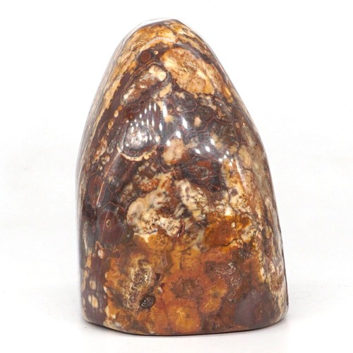 339g Natural Leopard Jasper Crystal Palm Stone Material Healing Energy Specimen - Imagen 2 de 5