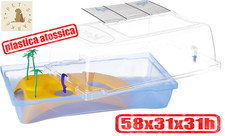 KLEO Tartarughiera Acquario per Tartarughe con Coperchio Terrario in Plastica