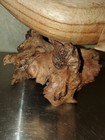 Bild 8 von 24