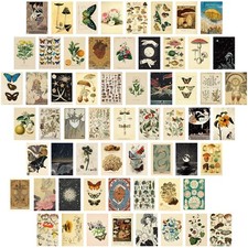 60 PCS Vintage Collection Postcard Set Retro Style Botanical Butterfly Mushro...