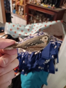 Vintage Wooden Bird Figure