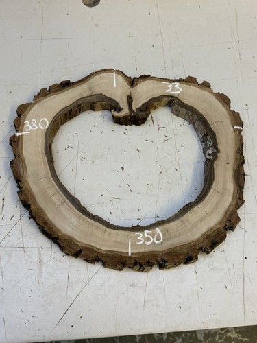 Italian walnut cookies,disk 380-350-25mm thick kiln dried & Planed